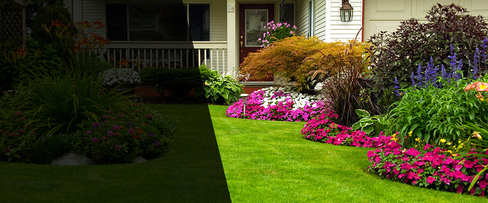 Aliceville Landscapers
