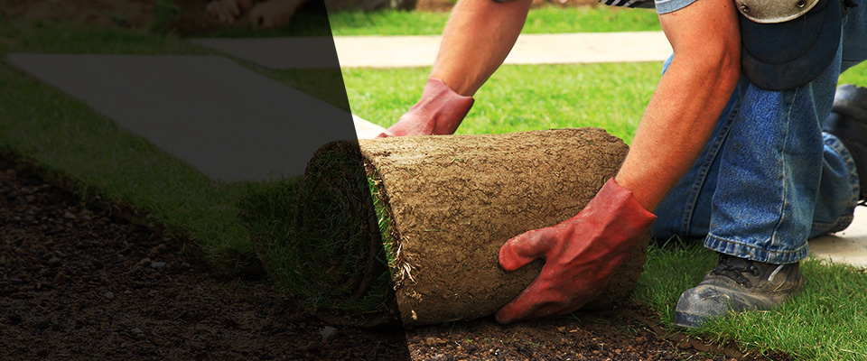 Aliceville Landscapers